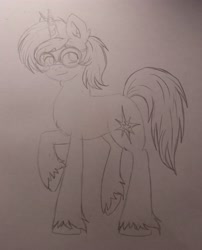 Size: 2932x3634 | Tagged: safe, artist:dreamy990, oc, oc only, oc:shadow twinkle, pony, unicorn, g5 style, glasses, high res, male, round glasses, solo, traditional art, unshorn fetlocks