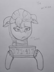 Size: 3000x4000 | Tagged: safe, artist:galaxymike, sunny starscout, earth pony, pony, g5, my little pony: a new generation, female, floppy ears, hate, mare, news, solo, sunny starscout is not amused, traditional art, unamused