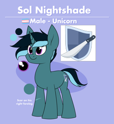 Size: 1780x1941 | Tagged: safe, artist:moonatik, oc, oc only, oc:sol nightshade, pony, unicorn, comments locked down, cutie mark, male, pride, pride flag, reference sheet, solo, stallion, transgender, transgender pride flag