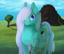 Size: 1080x900 | Tagged: safe, artist:meepars, oc, oc only, earth pony, pony, earth pony oc, female, solo