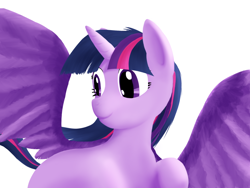 Size: 1024x768 | Tagged: safe, artist:alixnight, twilight sparkle, alicorn, pony, g4, procreate app, simple background, solo, twilight sparkle (alicorn), white background