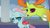 Size: 1280x720 | Tagged: safe, screencap, ocellus, thorax, changedling, changeling, g4, school daze, season 8, duo, duo changeling, female, king thorax, male, papa thorax, sad, talking