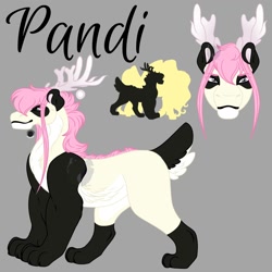 Size: 2000x2000 | Tagged: safe, artist:teonnakatztkgs, oc, oc only, oc:pandi, draconequus, hybrid, bio in description, bust, draconequus oc, gray background, high res, interspecies offspring, offspring, parent:discord, parent:fluttershy, parents:discoshy, simple background, solo