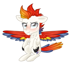 Size: 3961x3553 | Tagged: safe, artist:kaikururu, oc, oc only, pegasus, pony, blushing, colored wings, high res, male, pegasus oc, simple background, solo, spread wings, stallion, transparent background, two toned wings, unshorn fetlocks, wings