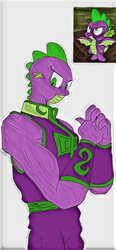 Size: 696x1504 | Tagged: safe, artist:spike-love, spike, dragon, anthro, g4, adult, adult dragon, adult spike, angry, baby, baby dragon, character:fu-dao-long, kung fu, martial arts, older, older spike, photo, spoilers for another series, winged spike, wings