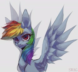Size: 2048x1900 | Tagged: safe, artist:swaaag666, rainbow dash, pegasus, pony, g4, female, gray background, looking at you, mare, simple background, solo, spread wings, wings