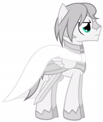 Size: 1734x2048 | Tagged: safe, oc, oc:light knight, pegasus, pony, armor, cloak, clothes, gray, grayscale, guard, knight, male, monochrome, solo, stallion, sword, vector, weapon