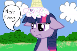 Size: 1800x1200 | Tagged: safe, artist:zoefrancesva, twilight sparkle, pony, g4, dialogue, female, floppy ears, food, frown, ice cream, solo, speech bubble, twilight sparkle is not amused, unamused