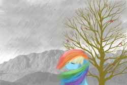 Size: 1800x1200 | Tagged: safe, artist:zoefrancesva, rainbow dash, pony, g4, eyes closed, female, leaves, rain, solo, tree