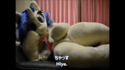 Size: 854x480 | Tagged: safe, artist:luna_b_, dj pon-3, vinyl scratch, anthro, g4, animated, clothes, cosplay, costume, draw me like one of your french girls, engrish, fursuit, irl, japan, japan ponycon, japanese, ponysuit, solo, video, webm