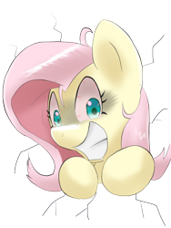 Size: 1200x1600 | Tagged: safe, artist:kushina13, fluttershy, pegasus, pony, g4, bloodshot eyes, bust, crazy grin, female, grin, looking at you, mare, simple background, smiling, smiling at you, solo, through wall, transparent background