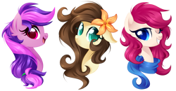 Size: 1024x531 | Tagged: safe, artist:xnightmelody, oc, oc only, pony, bust, female, flower, flower in hair, one eye closed, simple background, transparent background, trio, wink