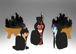 Size: 4200x3000 | Tagged: safe, artist:shoophoerse, oc, oc only, oc:red flux, oc:shoop, oc:starline moongazer, bird, goose, clothes, fire, group, male, red changeling, robe, simple background
