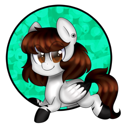 Size: 2000x2000 | Tagged: safe, artist:erinisanxious, oc, oc only, pegasus, pony, female, high res, pegasus oc, solo