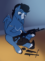 Size: 3000x4000 | Tagged: safe, artist:toanderic, oc, oc only, oc:enduro elite, pegasus, pony, ak-12, blaze (coat marking), cleaning, coat markings, facial markings, folded wings, gun, markings, pegasus oc, rifle, solo, unshorn fetlocks, weapon, wings