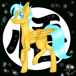 Size: 3000x3000 | Tagged: safe, artist:yulianapie26, pegasus, pony, dragon ball, dragon ball z, ear fluff, high res, male, ponified, signature, solo, son goku, stallion, wings