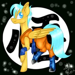 Size: 3000x3000 | Tagged: safe, alternate version, artist:yulianapie26, pegasus, pony, clothes, dragon ball, dragon ball z, ear fluff, high res, male, ponified, signature, smiling, son goku, stallion, wings