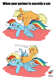 Size: 2680x3900 | Tagged: safe, artist:julunis14, applejack, rainbow dash, earth pony, pegasus, pony, g4, 2 panel comic, applebutt, behaving like a cat, blushing, both cutie marks, butt, comic, cute, eyes closed, female, floppy ears, high res, lesbian, lying down, meep, onomatopoeia, open mouth, plot, pomf, purring, ship:appledash, shipping, tongue out, yawn