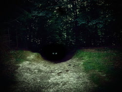 Size: 960x720 | Tagged: safe, artist:opal_radiance, pony, barely pony related, eye, eyes, eyes in the dark, forest, peeping, photo