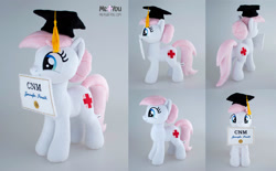 Size: 2200x1366 | Tagged: safe, artist:meplushyou, nurse redheart, earth pony, pony, g4, diploma, graduation cap, hat, irl, photo, plushie, solo