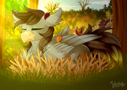 Size: 4093x2894 | Tagged: safe, artist:julunis14, oc, oc only, oc:luxor, classical hippogriff, hippogriff, autumn, behaving like a bird, bird nest, eyes closed, leaf, nest, relaxing