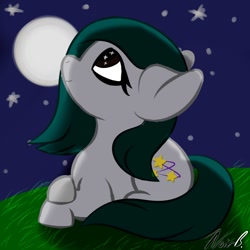 Size: 1000x1000 | Tagged: safe, artist:noir-b, oc, oc:tessa, earth pony, pony, commission, female, looking up, lying down, mare, moon, night, prone, smiling, solo, ych result