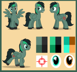 Size: 2376x2211 | Tagged: safe, artist:edelweiss, oc, oc only, oc:target strike, pegasus, pony, animated, cutie mark, heterochromia, high res, pegasus oc, reference sheet, simple background, solo, spread wings, two toned mane, unshorn fetlocks, walking, wings
