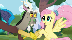 Size: 1920x1080 | Tagged: safe, artist:sallyso, discord, fluttershy, alicorn, draconequus, pegasus, pony, g4, the last problem, female, male, mare, older, older fluttershy, outdoors, ship:discoshy, shipping, show accurate, straight