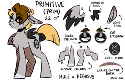 Size: 1211x791 | Tagged: safe, artist:lrusu, oc, oc only, oc:primitive, oc:sunny (lrusu), hybrid, mule, pegasus, pony, eyebrow slit, eyebrows, eyeshadow, floppy ears, makeup, mismatched wings, reference sheet, simple background, solo, white background, wings