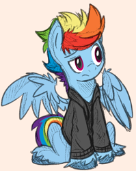 Size: 700x880 | Tagged: safe, artist:nolycs, color edit, edit, rainbow dash, pegasus, pony, g4, clothes, colored, colored sketch, frown, full body, hoodie, male, pink background, rainbow blitz, raised eyebrow, rule 63, simple background, sitting, sketch, solo, stallion, unshorn fetlocks, wing fluff, wings