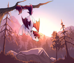 Size: 1280x1092 | Tagged: safe, artist:lilitepsilon, oc, oc only, oc:mythic horizon, bat pony, pony, bat pony oc, bat wings, behaving like a bat, commission, fangs, forest, hanging, hanging upside down, male, mountain, prehensile tail, solo, stallion, sunset, tail, tree branch, underhoof, upside down, wings, ych result