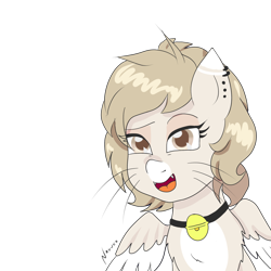 Size: 2000x2000 | Tagged: safe, artist:wrath-marionphauna, oc, oc only, oc:cat-puchina, cat, hybrid, pegasus, pony, bell, bell collar, collar, ear piercing, high res, jewelry, necklace, piercing, simple background, solo, transparent background