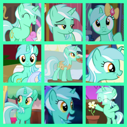 Size: 800x800 | Tagged: safe, edit, editor:twilyisbestpone, screencap, lyra heartstrings, pony, unicorn, a canterlot wedding, celestial advice, do princesses dream of magic sheep, dragonshy, g4, my little pony: the movie, season 1, season 2, season 5, season 7, slice of life (episode), winter wrap up, collage, compilation, cute, eyes closed, female, filly, filly lyra, flower, lyrabetes, mare, sitting, sitting lyra, solo focus, winter wrap up vest, younger