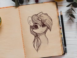 Size: 1600x1200 | Tagged: safe, artist:luneinspace, minuette, pony, unicorn, g4, barrette, big eyes, bust, notebook, portrait, realistic, semi-realistic, solo, traditional art