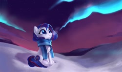 Size: 1968x1171 | Tagged: safe, artist:switchsugar, oc, oc only, oc:nasapone, earth pony, pony, 4chan, 4chan cup scarf, aurora borealis, clothes, digital painting, night, scarf, sky, snow, solo, stars, winter