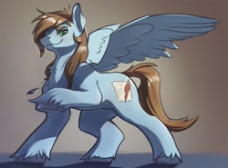 Size: 2237x1652 | Tagged: safe, artist:kam, oc, oc only, oc:sorren, pegasus, pony, chest fluff, hooves, jewelry, male, necklace, pegasus oc, raised hoof, shading, smiling, solo, spread wings, stallion, standing, tail, unshorn fetlocks, wings