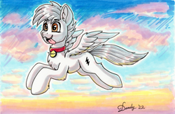 Size: 2684x1751 | Tagged: safe, artist:dandy, oc, oc only, oc:bolt the super pony, pegasus, pony, bolt, chest fluff, collar, copic, dog collar, ear fluff, flying, marker drawing, pegasus oc, pet tag, ponified, solo, tongue out, traditional art