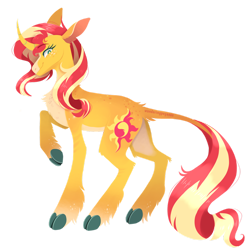 Size: 1280x1280 | Tagged: safe, artist:wanderingpegasus, sunset shimmer, classical unicorn, pony, unicorn, alternate hairstyle, blaze (coat marking), chest fluff, cloven hooves, coat markings, colored hooves, curved horn, cute, facial markings, februpony, female, fluffy, horn, leg fluff, leonine tail, looking at you, looking back, mare, markings, pale belly, raised hoof, redesign, shimmerbetes, simple background, snip (coat marking), solo, transparent background, unshorn fetlocks