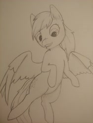 Size: 3492x4656 | Tagged: safe, artist:lawliet13, derpy hooves, pegasus, pony, g4, female, flying, mare, sketch, sketch dump, smiling, solo, spread wings, traditional art, wings