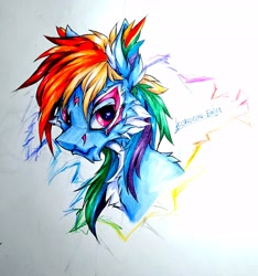 Size: 2420x2584 | Tagged: safe, artist:creature.exist, rainbow dash, pegasus, pony, g4, bust, ear fluff, fluffy, heart eyes, high res, looking at you, multicolored mane, photo, portrait, simple background, solo, white background, white fur, wingding eyes