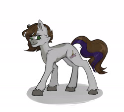 Size: 2100x1900 | Tagged: safe, artist:yuuzzzu, oc, oc only, oc:cj vampire, earth pony, pony, brown mane, brown tail, green eyes, grey fur, hooves, looking at you, looking back, looking back at you, photo, purple tail highlight, smiling, smiling at you, solo, tail, walking
