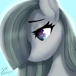Size: 3000x3000 | Tagged: safe, artist:dashy21, marble pie, earth pony, pony, g4, bust, eyebrows, eyelashes, female, hair over one eye, high res, mare, portrait, signature, solo