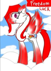 Size: 481x673 | Tagged: safe, artist:indonesia pony, oc, oc only, oc:freedom luck, pegasus, pony, cloud, colored hooves, colored wings, ear fluff, female, fur, grin, hooves, indonesia, looking at you, mare, on a cloud, pegasus oc, side view, sky, smiling, smiling at you, solo, spread wings, standing, standing on a cloud, tail, two toned mane, two toned tail, wide eyes, wings