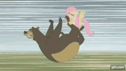 Size: 640x360 | Tagged: safe, screencap, fluttershy, harry, bear, pegasus, pony, g4, lesson zero, season 2, animated, duo, eyes closed, female, gif, gifs.com, male, mare, open mouth