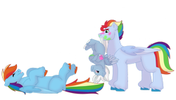 Size: 1280x732 | Tagged: safe, artist:itstechtock, rainbow dash, oc, oc:cloudburst, oc:spectrum rush, pegasus, pony, g4, female, filly, foal, male, mouth hold, offspring, parent:rainbow dash, parent:soarin', parents:soarindash, simple background, stallion, transparent background