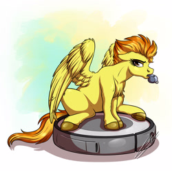Size: 3000x3000 | Tagged: safe, artist:lupiarts, spitfire, pegasus, pony, g4, annoyed, behaving like a cat, blowing whistle, cute, cutefire, digital art, drawing, female, high res, mouth hold, ponies riding roombas, riding, roomba, silly, silly pony, solo, spitfire is not amused, spitfire's whistle, that pony sure does love whistles, unamused, whistle