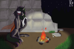 Size: 3000x2000 | Tagged: safe, artist:kirov, oc, changeling, campfire, changeling oc, dragon eyes, embarrassed, high res, letter, multicolored mane, night, orange eyes, orange wings, sitting, solo, wings