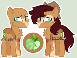 Size: 1211x908 | Tagged: safe, artist:stormcloud-yt, oc, oc only, oc:archie, earth pony, pony, base used, chest fluff, duo, ear fluff, earth pony oc, hat, male, offspring, parent:applejack, parent:trouble shoes, parents:troublejack, simple background, stallion