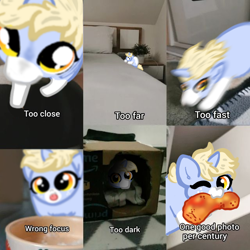 Size: 640x640 | Tagged: safe, artist:nootaz, oc, oc:nootaz, pony, cheetos, irl, mouth hold, one eye closed, photo, ponies in real life, ponified animal photo