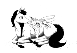 Size: 1280x892 | Tagged: safe, artist:darkhestur, oc, oc only, oc:dark, oc:dustlight, earth pony, flutter pony, pony, couple, norse horse, resting, simple background, sleeping